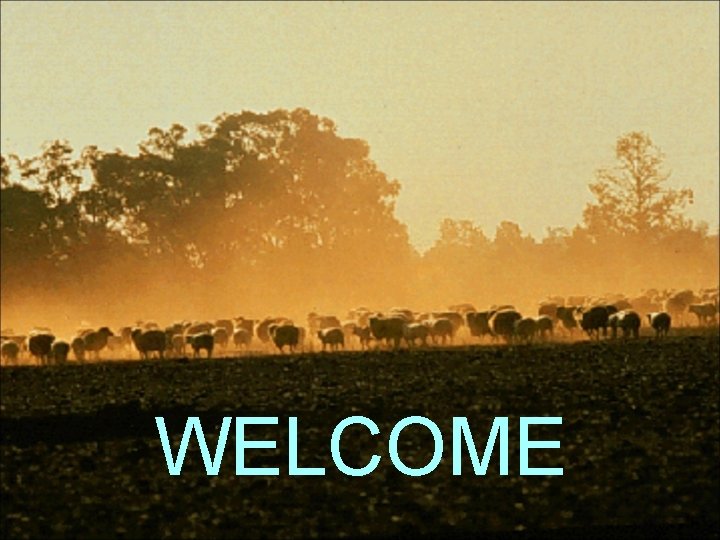 WELCOME 