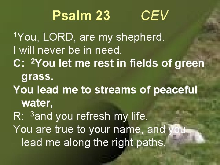 Psalm 23 1 You, CEV LORD, are my shepherd. I will never be in