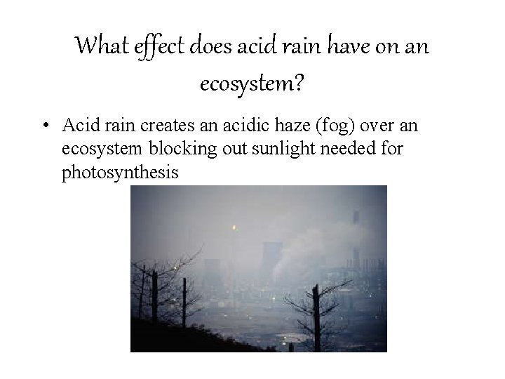 What effect does acid rain have on an ecosystem? • Acid rain creates an