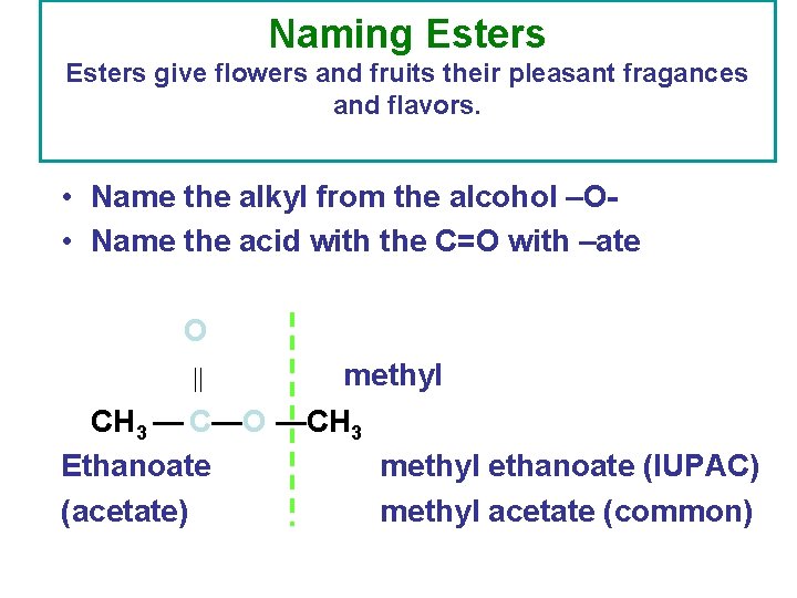 Naming Esters give flowers and fruits their pleasant fragances and flavors. • Name the