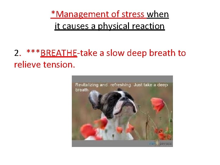 *Management of stress when it causes a physical reaction 2. ***BREATHE-take a slow deep