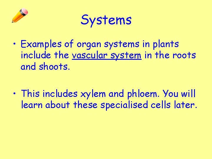 Systems • Examples of organ systems in plants include the vascular system in the