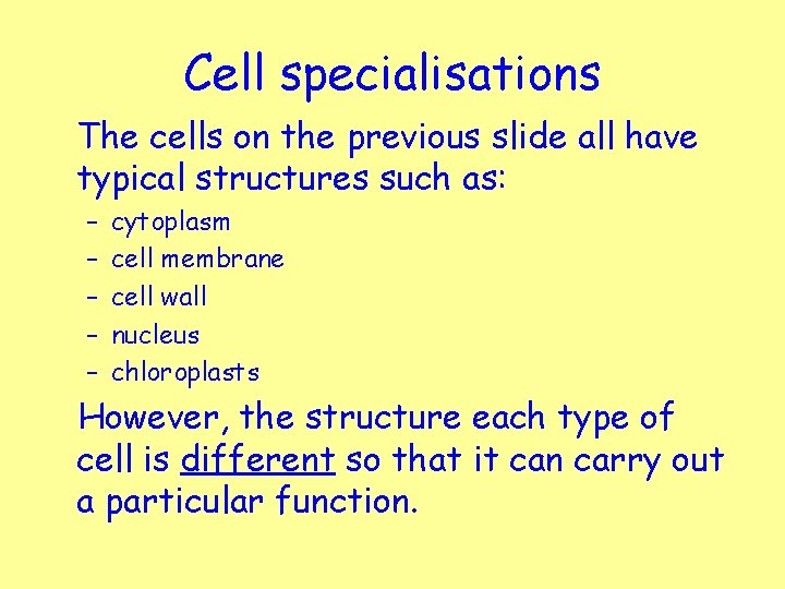 Cell specialisations The cells on the previous slide all have typical structures such as: