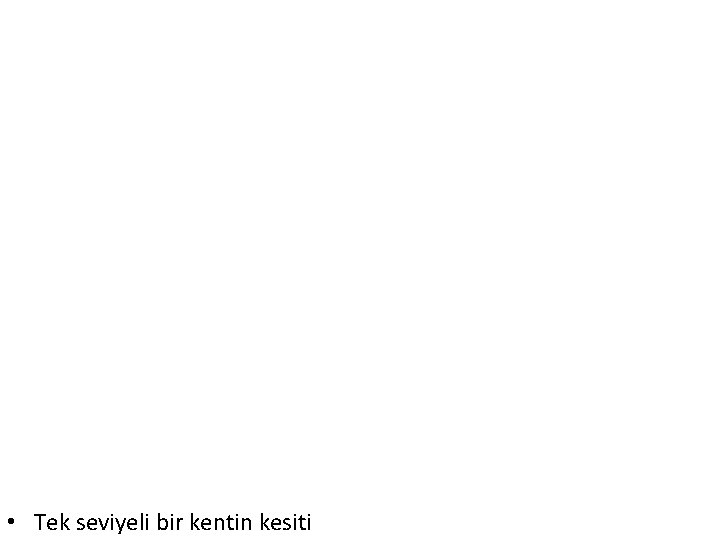  • Tek seviyeli bir kentin kesiti 