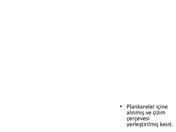  • Plankareler içine alınmış ve çizim çerçevesi yerleştirilmiş kesit. 