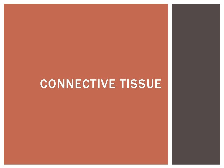 CONNECTIVE TISSUE 