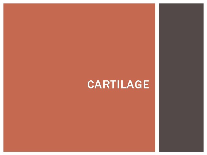 CARTILAGE 