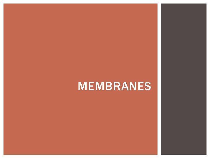 MEMBRANES 