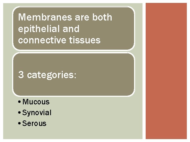 Membranes are both epithelial and connective tissues 3 categories: • Mucous • Synovial •