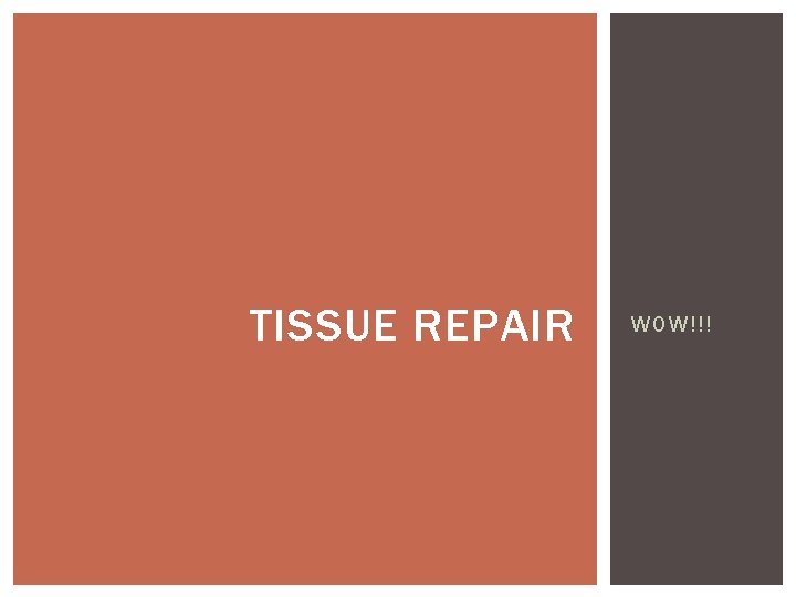 TISSUE REPAIR WOW!!! 