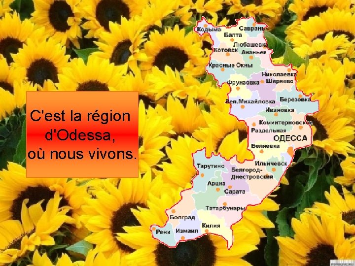 C'est la région d'Odessa, où nous vivons. 