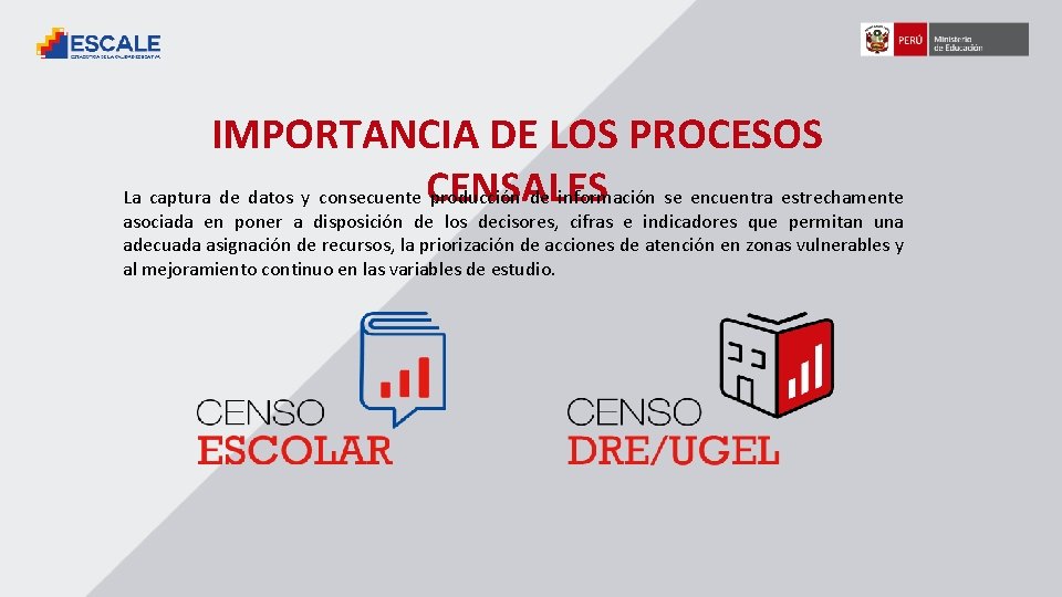 IMPORTANCIA DE LOS PROCESOS La captura de datos y consecuente CENSALES producción de información