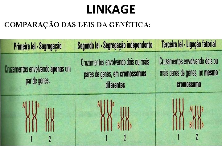 LINKAGE COMPARAÇÃO DAS LEIS DA GENÉTICA: 