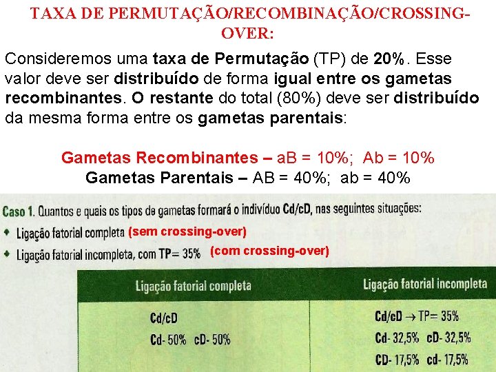 TAXA DE PERMUTAÇÃO/RECOMBINAÇÃO/CROSSINGOVER: Consideremos uma taxa de Permutação (TP) de 20%. Esse valor deve