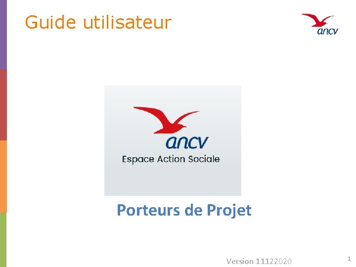 Guide utilisateur Porteurs de Projet Version 11122020 1 