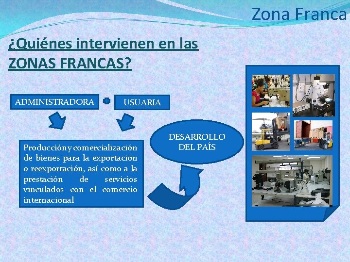 Zona Franca ¿Quiénes intervienen en las ZONAS FRANCAS? ADMINISTRADORA USUARIA Producción y comercialización de