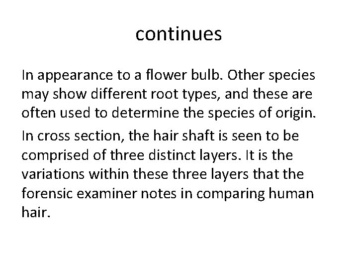 continues In appearance to a flower bulb. Other species may show different root types,