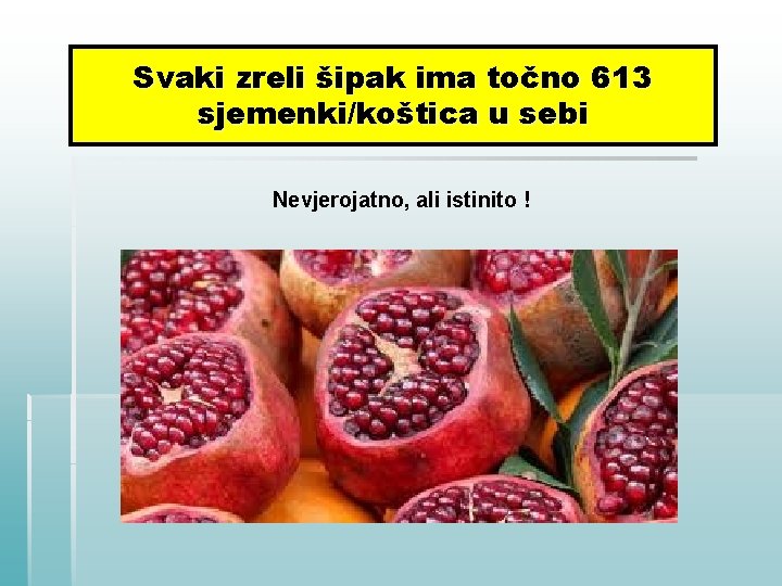 Svaki zreli šipak ima točno 613 sjemenki/koštica u sebi Nevjerojatno, ali istinito ! 