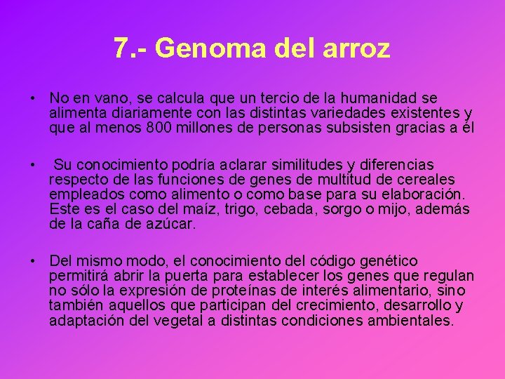 7. - Genoma del arroz • No en vano, se calcula que un tercio