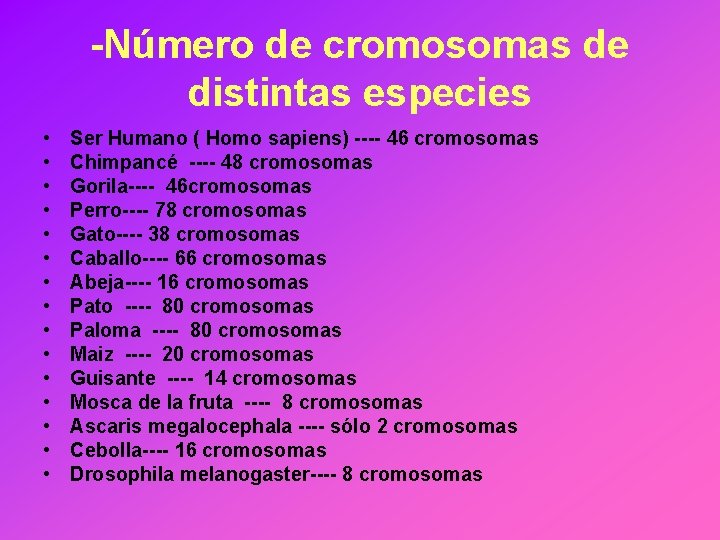 -Número de cromosomas de distintas especies • • • • Ser Humano ( Homo