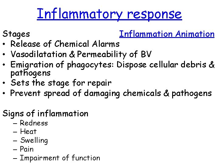 Inflammatory response Stages Inflammation Animation • Release of Chemical Alarms • Vasodilatation & Permeability