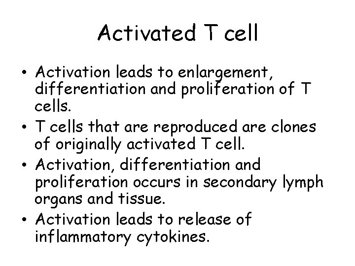 Activated T cell • Activation leads to enlargement, differentiation and proliferation of T cells. Activated T cell • Activation leads to enlargement, differentiation and proliferation of T cells.
