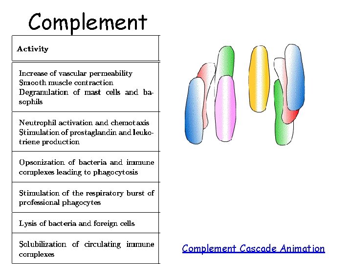 Complement Cascade Animation Complement Cascade Animation