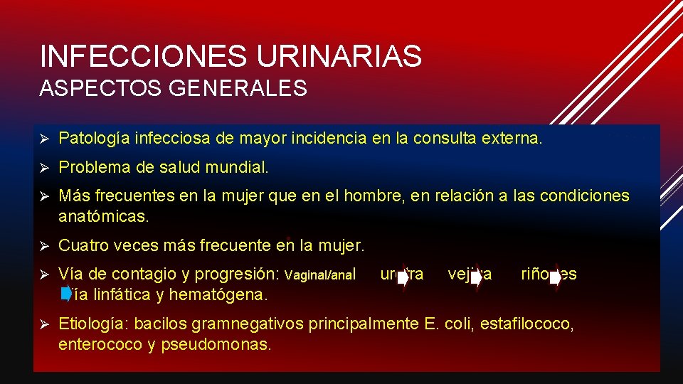 INFECCIONES URINARIAS ASPECTOS GENERALES Ø Patología infecciosa de mayor incidencia en la consulta externa.