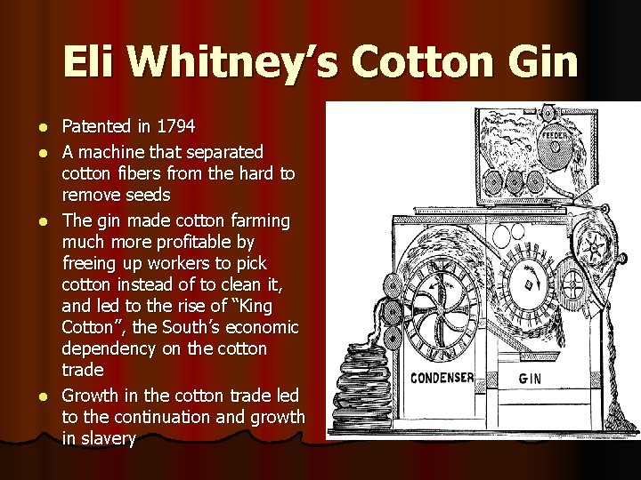 Eli Whitney’s Cotton Gin l l Patented in 1794 A machine that separated cotton