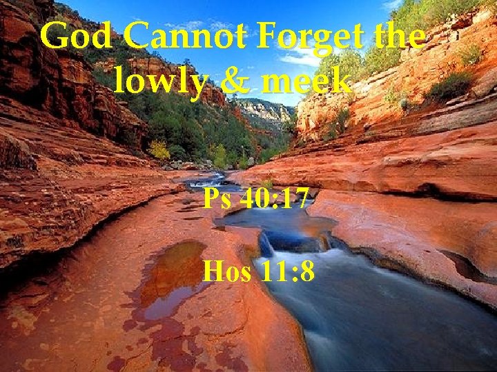 God Cannot Forget the lowly & meek Ps 40: 17 Hos 11: 8 