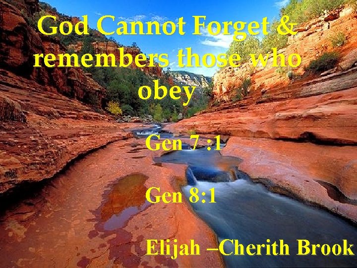 God Cannot Forget & remembers those who obey Gen 7 : 1 Gen 8: