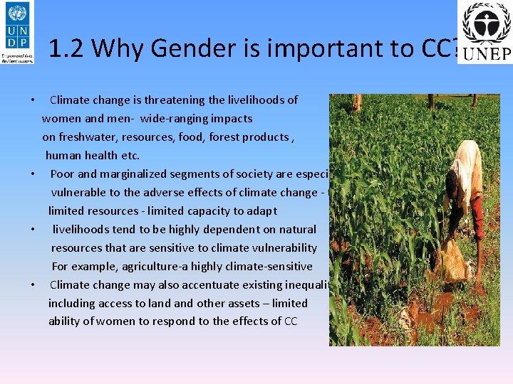 1. 2 Why Gender is important to CC? Climate change is threatening the livelihoods