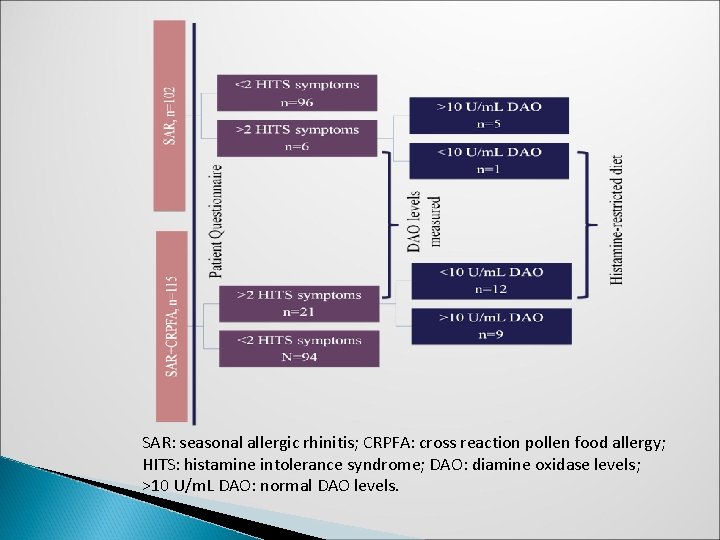 SAR: seasonal allergic rhinitis; CRPFA: cross reaction pollen food allergy; HITS: histamine intolerance syndrome;