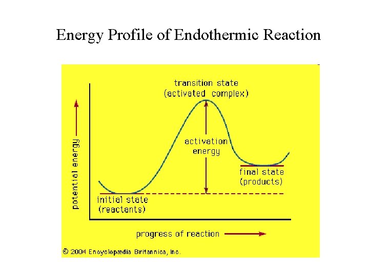 Energy Profile of Endothermic Reaction 
