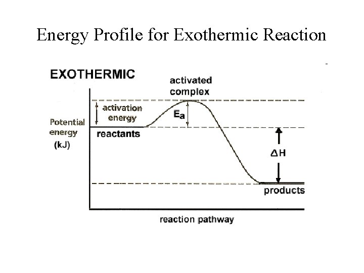 Energy Profile for Exothermic Reaction 
