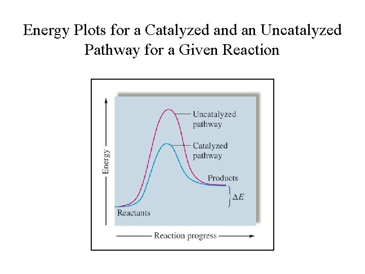 Energy Plots for a Catalyzed an Uncatalyzed Pathway for a Given Reaction 