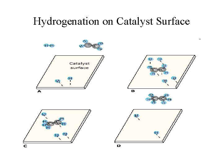 Hydrogenation on Catalyst Surface 