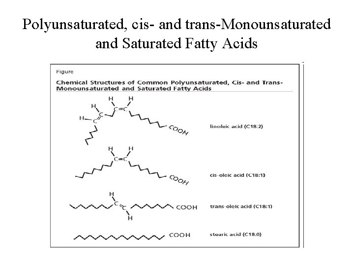 Polyunsaturated, cis- and trans-Monounsaturated and Saturated Fatty Acids 