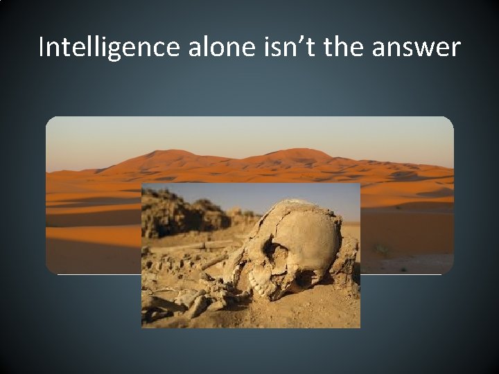Intelligence alone isn’t the answer 