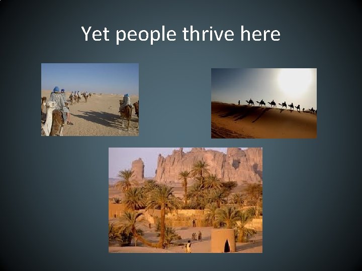 Yet people thrive here 