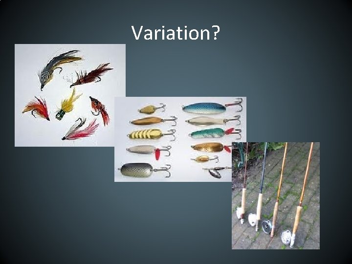 Variation? 