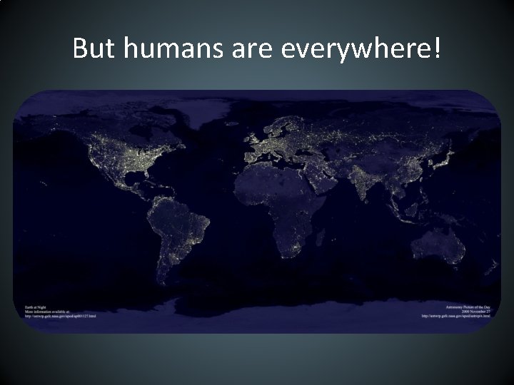 But humans are everywhere! 