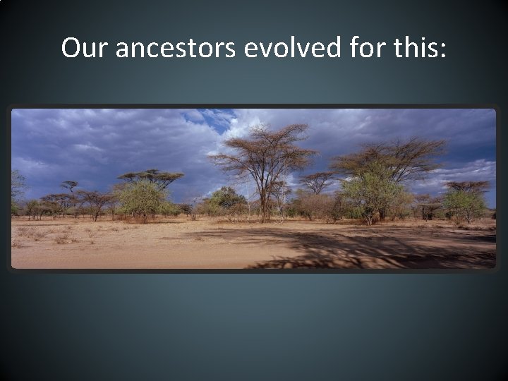Our ancestors evolved for this: 