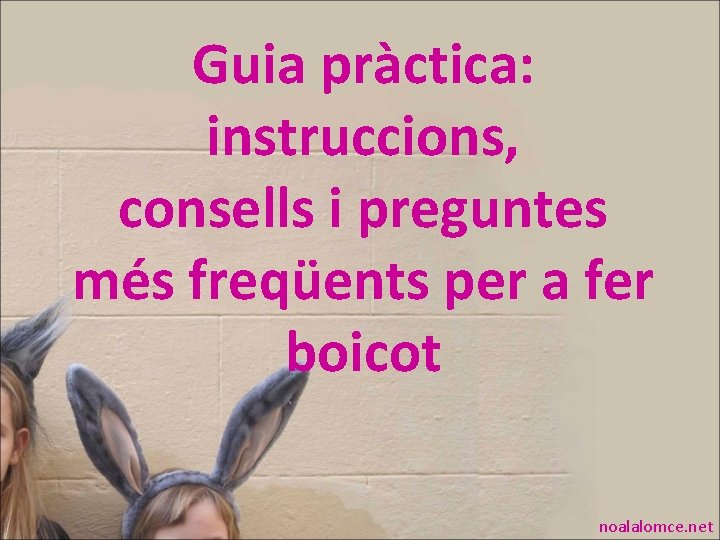 Guia pràctica: instruccions, consells i preguntes més freqüents per a fer boicot noalalomce. net