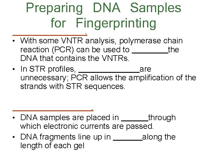 Preparing DNA Samples for Fingerprinting . • With some VNTR analysis, polymerase chain reaction
