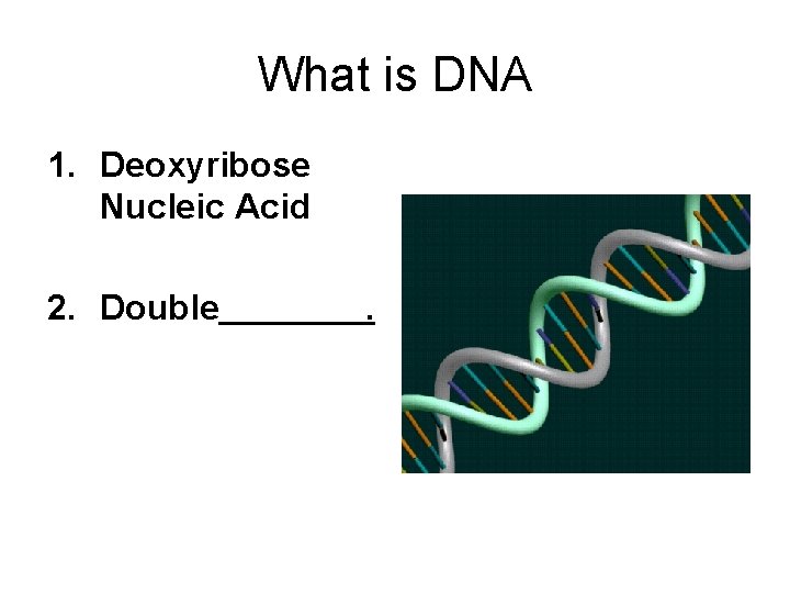 What is DNA 1. Deoxyribose Nucleic Acid 2. Double . 