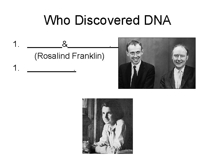 Who Discovered DNA 1. 1. &. (Rosalind Franklin). 