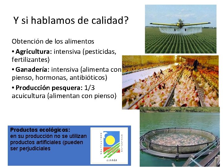 Y si hablamos de calidad? Obtención de los alimentos • Agricultura: intensiva (pesticidas, fertilizantes)