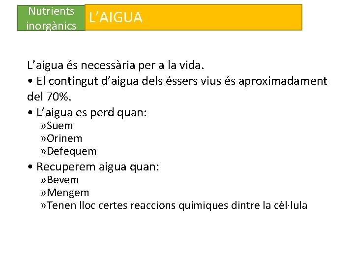 Nutrients inorgànics L’AIGUA L’aigua és necessària per a la vida. • El contingut d’aigua