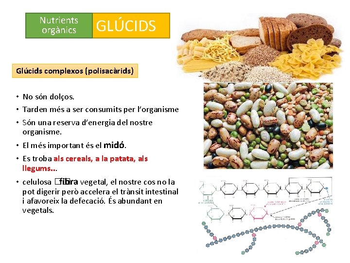 Nutrients orgànics GLÚCIDS Glúcids complexos (polisacàrids) • No són dolços. • Tarden més a